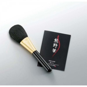 cpat-A49-KFi-10K