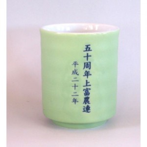 cpat-A51-P-702