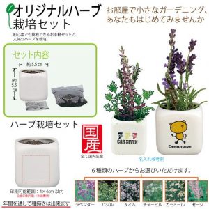 cpat-A43-A012036