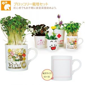 cpat-A43-A032
