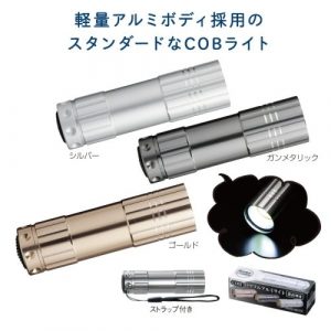 cpat-A01-31309