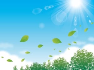 太陽の日差しを感じる