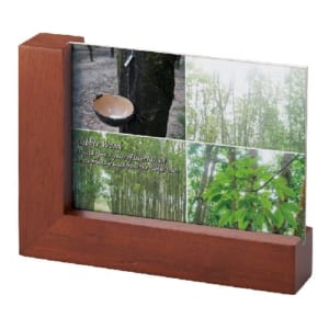 cpat-A14-TS-1520-007