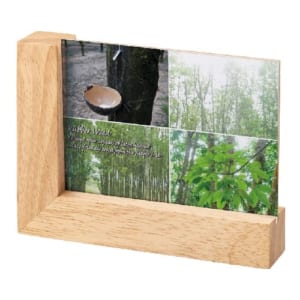 cpat-A14-TS-1520-008