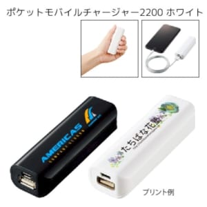 cpat-A14-TS-1560-044