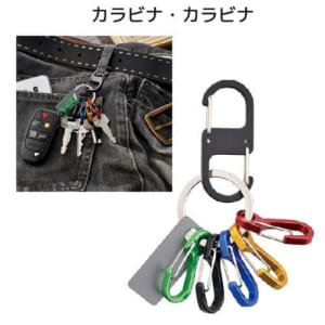 cpat-A19-201116250