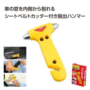 cpat-A01-33964