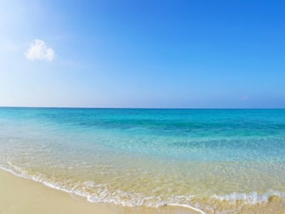 きれいな海の画像