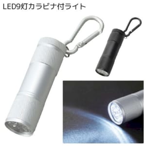 cpat-A14-TS-0629-005