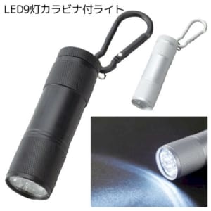 cpat-A14-TS-0629-009
