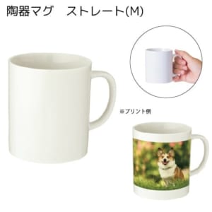 cpat-A14-TS-0872-050