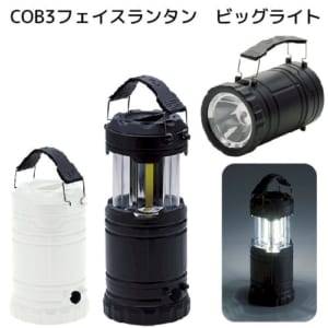 cpat-A14-TS-1606-044