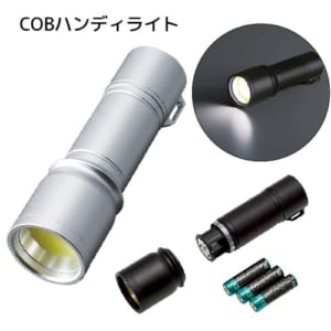 cpat-A14-TS-1608-009