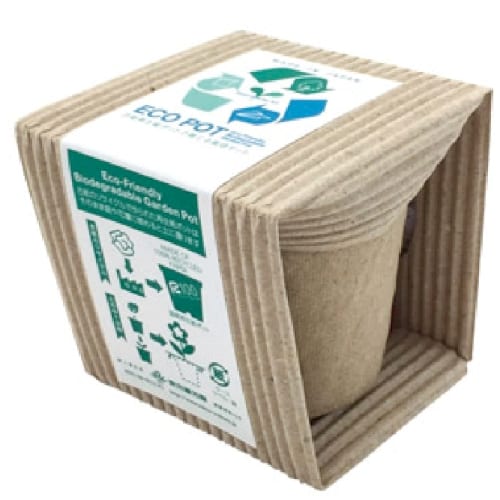 ECOポット　花の種◆の商品画像2枚目