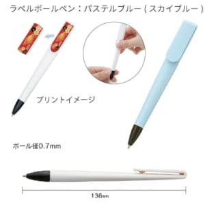 cpat-A14-TS-1451-041