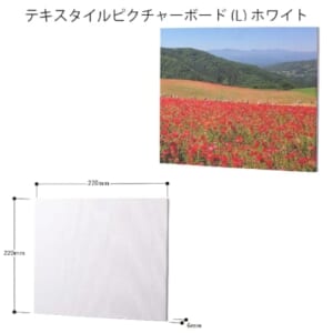 cpat-A14-TS-1713-044