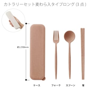 cpat-A14-TS-1730-030