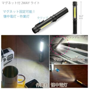 cpat-A19-222110290