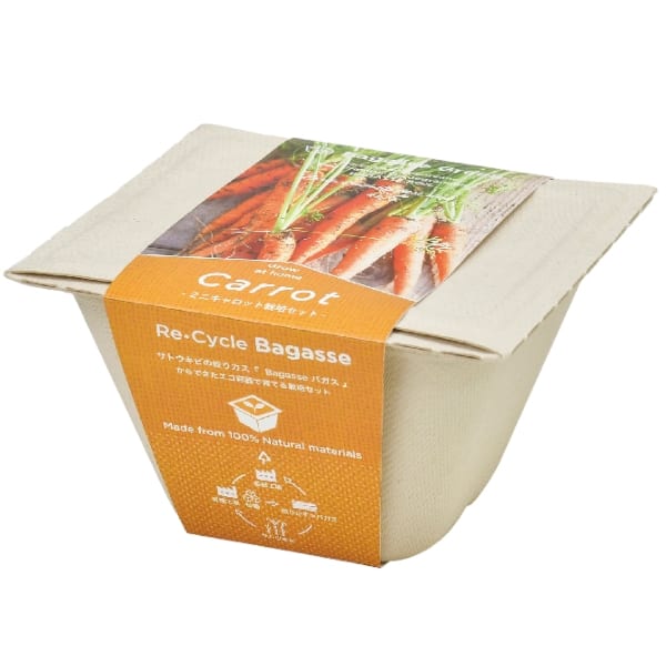 バガスグリーン　ミニキャロットの商品画像4枚目