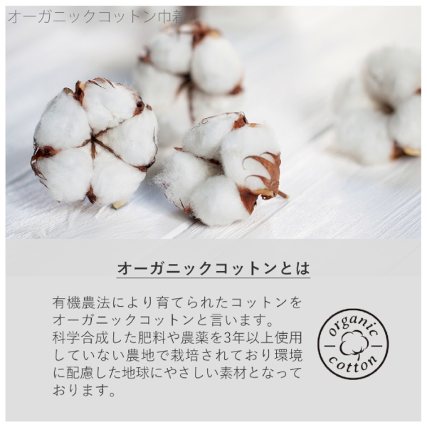 オーガニックコットン巾着(M)：ナチュラルの商品画像5枚目