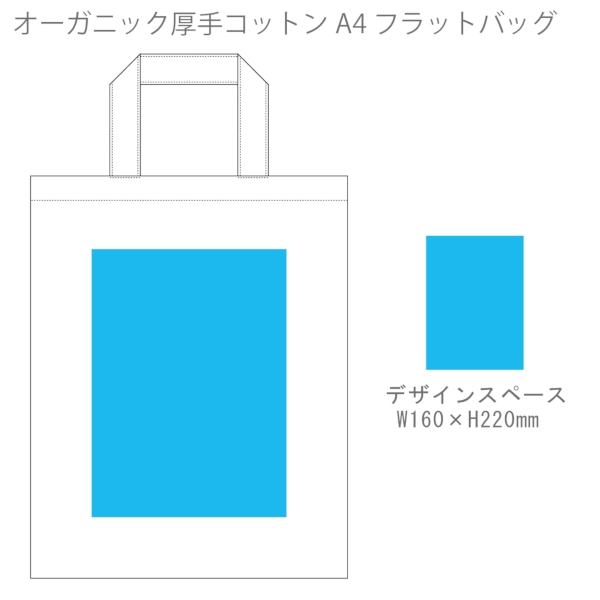 オーガニック厚手コットン　A4フラットバッグ：ナチュラルの商品画像3枚目
