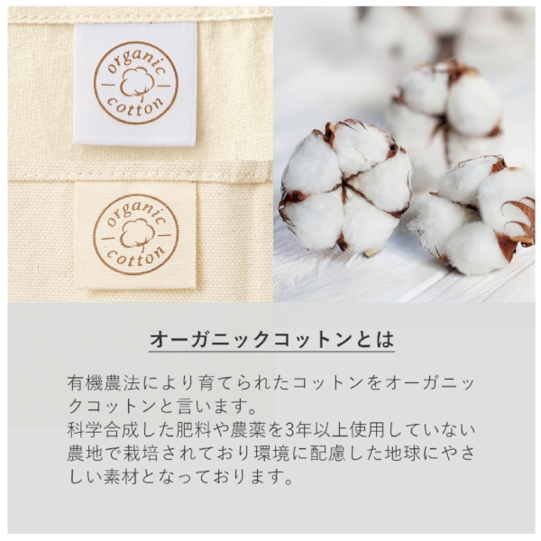 オーガニック厚手コットン　A4フラットバッグ：ナチュラルの商品画像4枚目