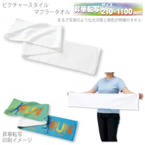cpat-A14-TT-0005-044