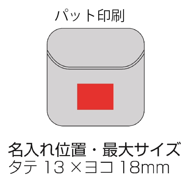 マイク搭載　完全ワイヤレスイヤホン　スケルトン(ブラック)の商品画像3枚目