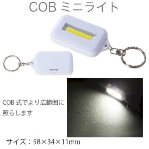 cpat-A80-SC-1810