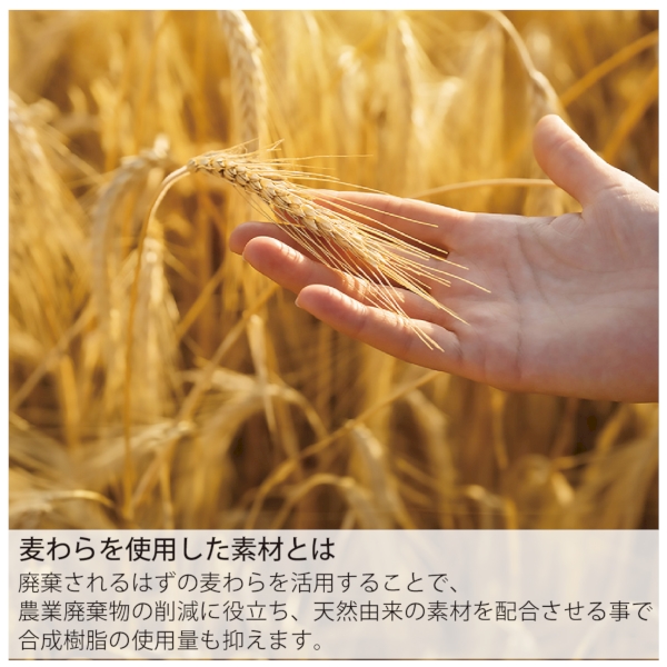 エコボールペン(麦わら配合タイプ)：ライトブルーの商品画像4枚目