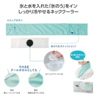 cpat-A01-36388