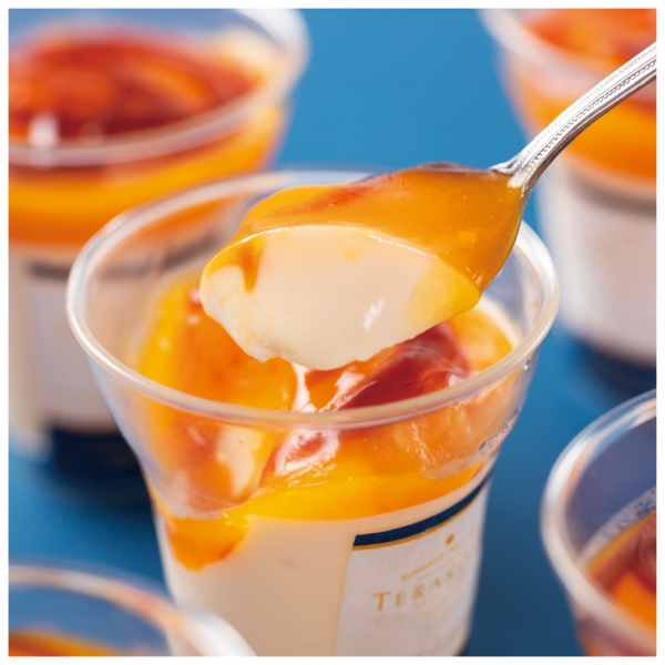 【感謝のカタチ】東京小金井TERAKOYA監修　濃厚マンゴープリン6個の商品画像3枚目