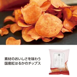 cpat-A01-36684SY