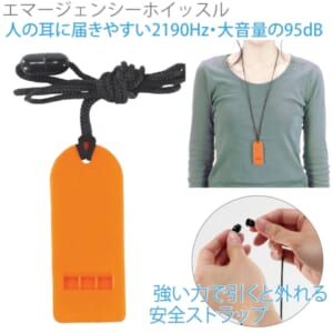cpat-A12-2219011