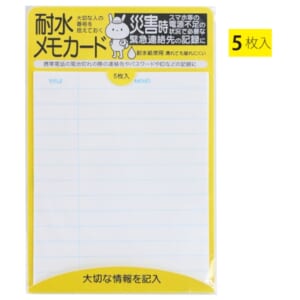 cpat-A12-2219012