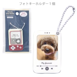 cpat-A12-2219015