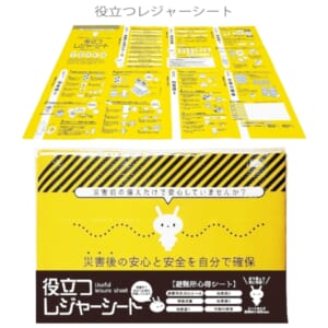 cpat-A12-2219038