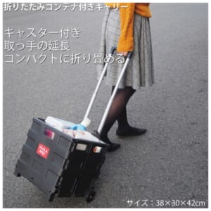 cpat-A12-2219083