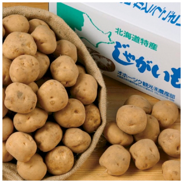 北海道産男爵じゃがいも詰め放題キット20kg(約20人用)【イベントグッズ】の商品画像2枚目