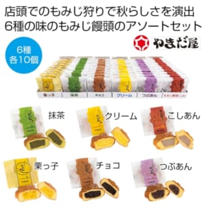 cpat-A12-2477477