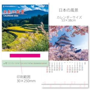 cpat-A12-2912162