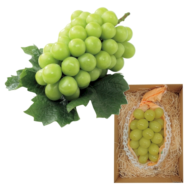 ときめき秋めき贅沢グルメ抽選会50人用【抽選会キット】の商品画像4枚目