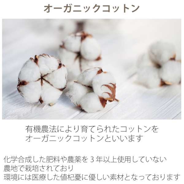 フェアトレードコットンカジュアルフラットバッグ(M)：ナイトブラックの商品画像5枚目