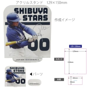 cpat-A14-TZ-1066-004