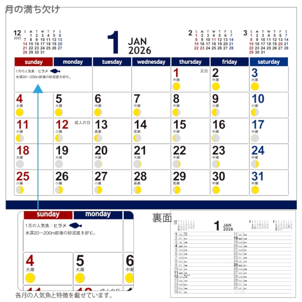 月の満ち欠けと潮回り｜スケジュール週管理 卓上カレンダー2026午年の商品画像3枚目