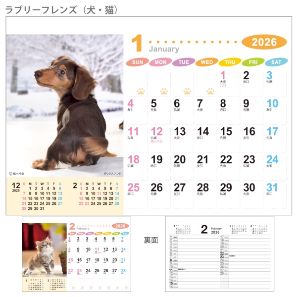 ラブリーフレンズ(犬・猫)｜イラスト・写真（動物・植物） 卓上カレンダー2026午年の商品画像4枚目