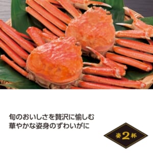 cpat-A01-50772