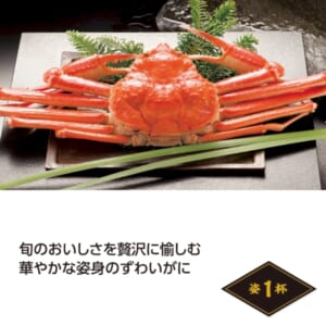 cpat-A01-50774