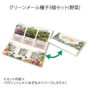 cpat-A12-2219297
