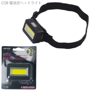 cpat-A12-2219315